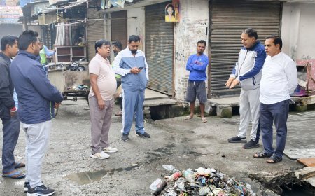 महापौर ने रम्पुरा क्षेत्र में समस्याओं का लिया जायजा