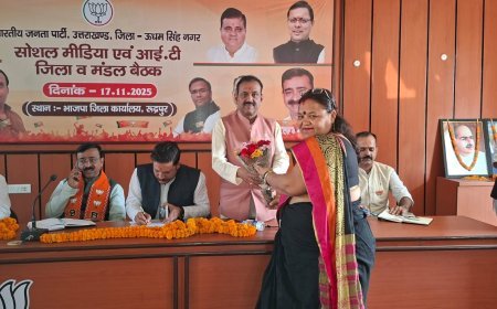 भाजपा की संगठनात्मक बैठक  हुई संपन्न