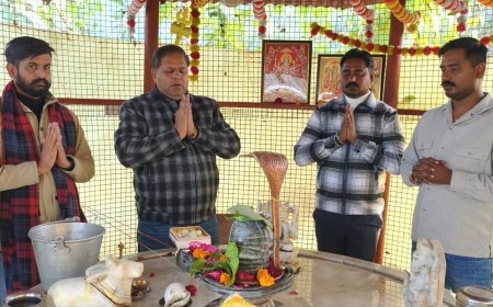 हर आघात के बाद पुनः उठ खड़ा हुआ है सनातन : विकास शर्मा