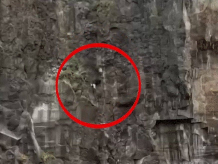 महाराष्ट्र पहाड़ हादसे से पहले मां ने किया था पोस्ट:कहा- रिश्ता ऐसा हो तो तोड़ देना चाहिए, दावा- आईफोन के लिए पहाड़ी से कूदा था बेटा