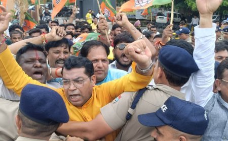 राहुल गांधी की झूठ की राजनीति के खिलाफ भाजपा का हल्लाबोल, कलेक्ट्रेट कूच कर फूंका राहुल गाँधी कांग्रेस का पुतला*