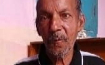 पाली में सड़क हादसे में बुजुर्ग की मौत:बेकाबू गाड़ी ने कुचला, गंभीर हालत में हॉस्पिटल में तोड़ा दम