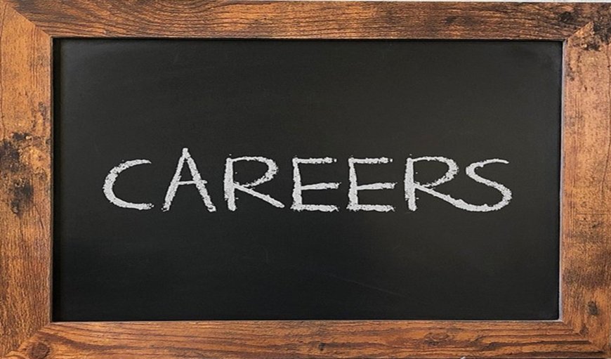 Insurance Sector में Career Scope, जानें Job Profile और Salary Package की पूरी Detail